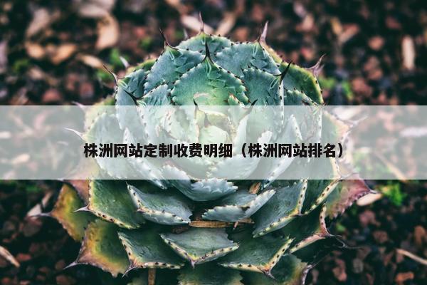 株洲网站定制收费明细（株洲网站排名）