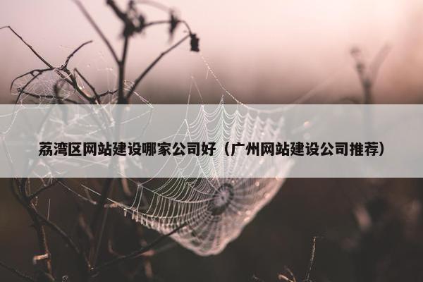 荔湾区网站建设哪家公司好（广州网站建设公司推荐）