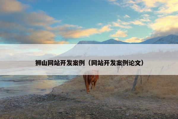 狮山网站开发案例（网站开发案例论文）