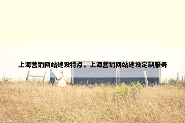 上海营销网站建设特点，上海营销网站建设定制服务