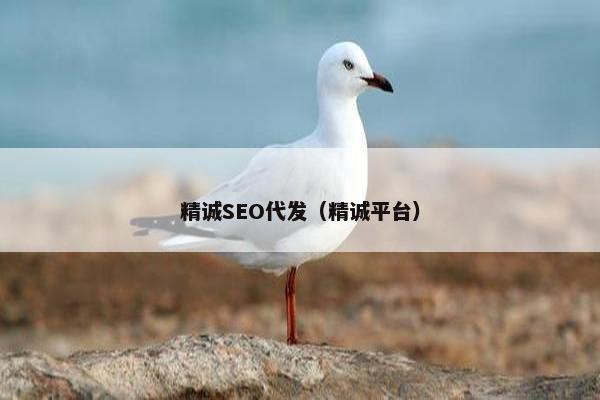 精诚SEO代发（精诚平台）