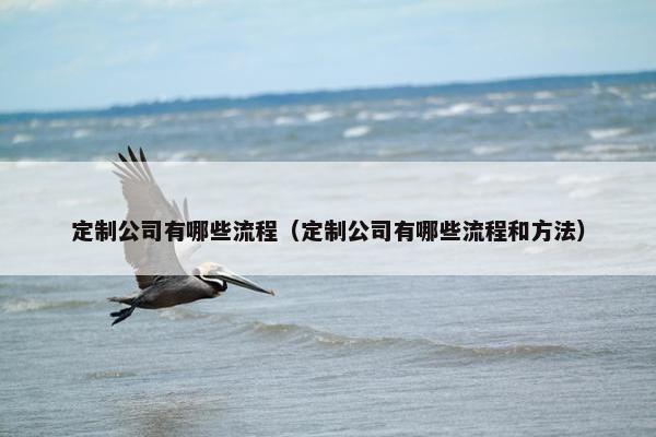 定制公司有哪些流程（定制公司有哪些流程和方法）