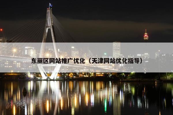 东丽区网站推广优化（天津网站优化指导）