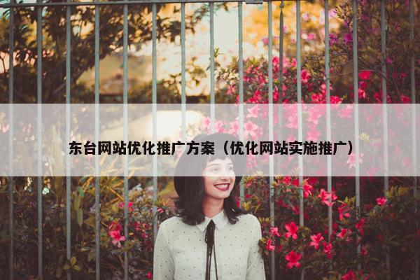 东台网站优化推广方案（优化网站实施推广）