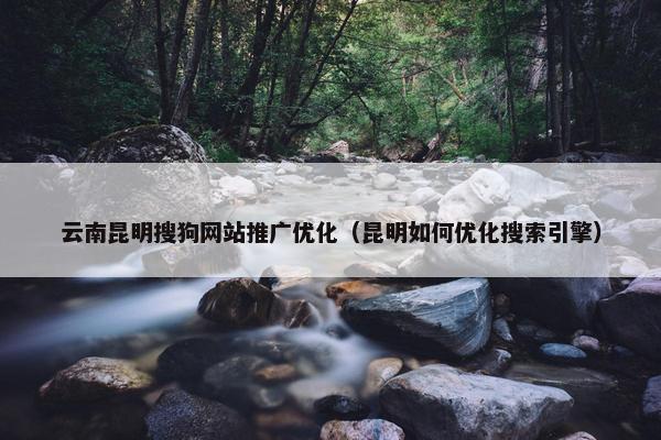 云南昆明搜狗网站推广优化（昆明如何优化搜索引擎）
