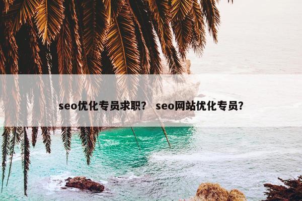 seo优化专员求职？ seo网站优化专员？