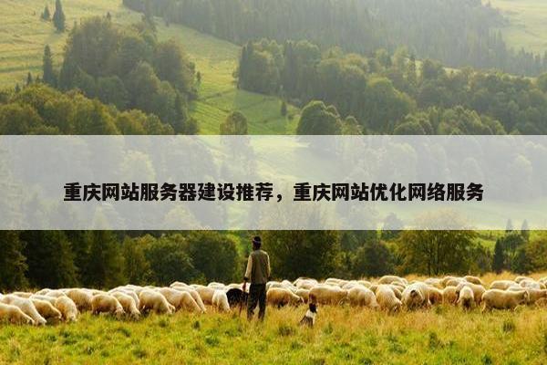 重庆网站服务器建设推荐，重庆网站优化网络服务