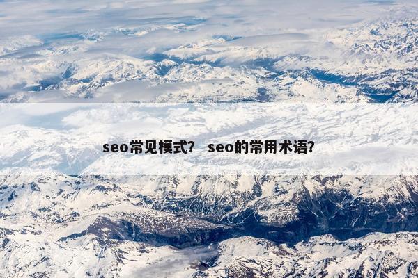 seo常见模式？ seo的常用术语？