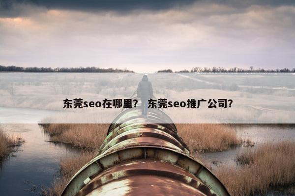 东莞seo在哪里？ 东莞seo推广公司？