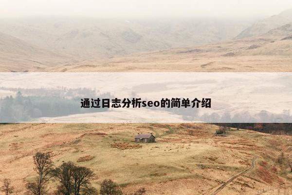 通过日志分析seo的简单介绍