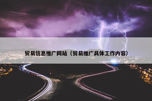 贸易信息推广网站（贸易推广具体工作内容）