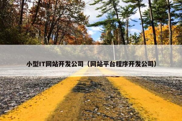 小型IT网站开发公司（网站平台程序开发公司）