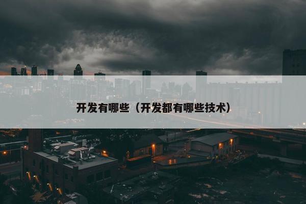 开发有哪些（开发都有哪些技术）