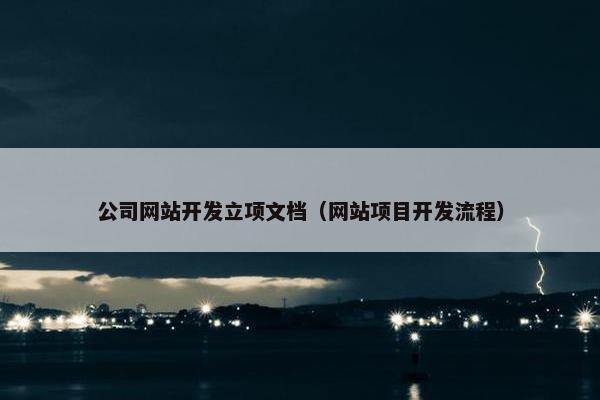 公司网站开发立项文档（网站项目开发流程）