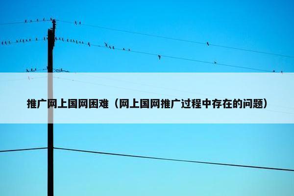 推广网上国网困难（网上国网推广过程中存在的问题）