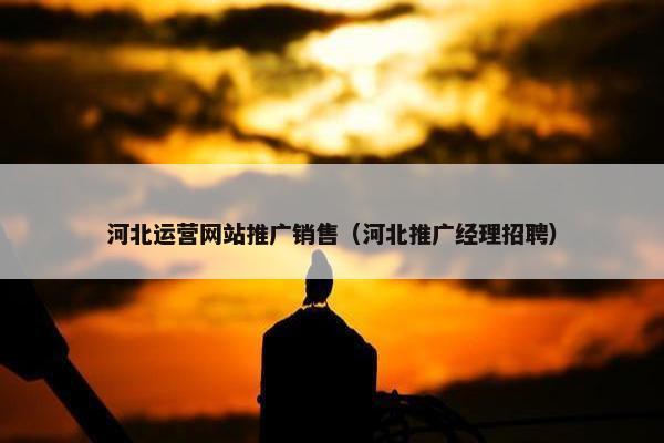 河北运营网站推广销售（河北推广经理招聘）