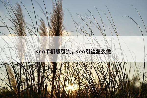 seo手机版引流，seo引流怎么做