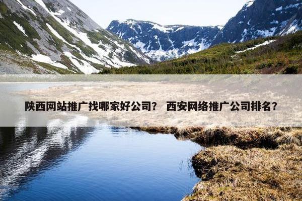 陕西网站推广找哪家好公司？ 西安网络推广公司排名？