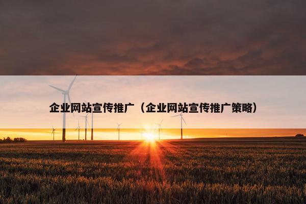 企业网站宣传推广（企业网站宣传推广策略）