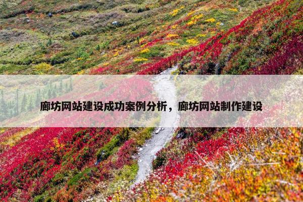 廊坊网站建设成功案例分析，廊坊网站制作建设