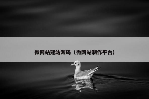 微网站建站源码（微网站制作平台）