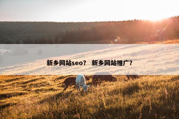 新乡网站seo？ 新乡网站推广？