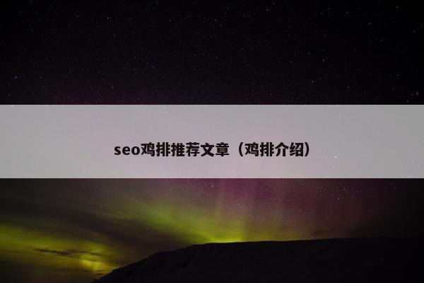 seo鸡排推荐文章（鸡排介绍）