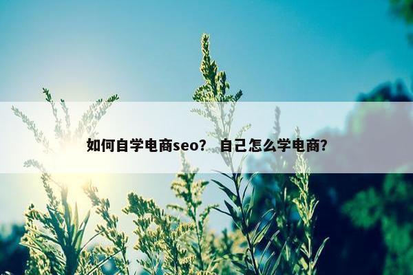 如何自学电商seo？ 自己怎么学电商？