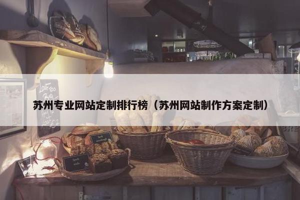 苏州专业网站定制排行榜（苏州网站制作方案定制）