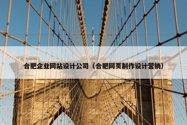 合肥企业网站设计公司（合肥网页制作设计营销）