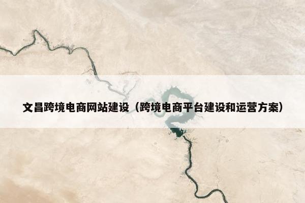 文昌跨境电商网站建设（跨境电商平台建设和运营方案）