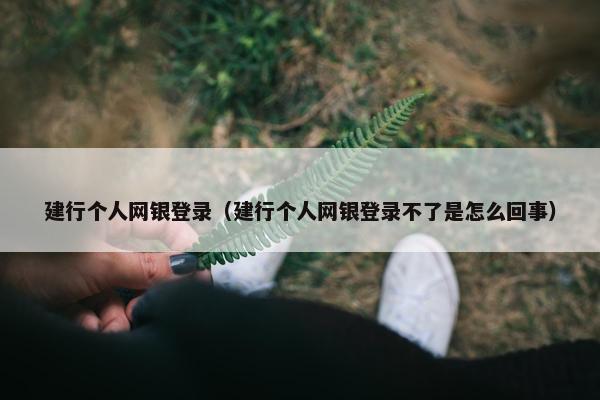 建行个人网银登录（建行个人网银登录不了是怎么回事）