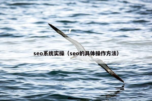 seo系统实操（seo的具体操作方法）
