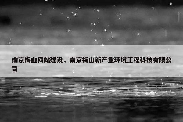 南京梅山网站建设，南京梅山新产业环境工程科技有限公司
