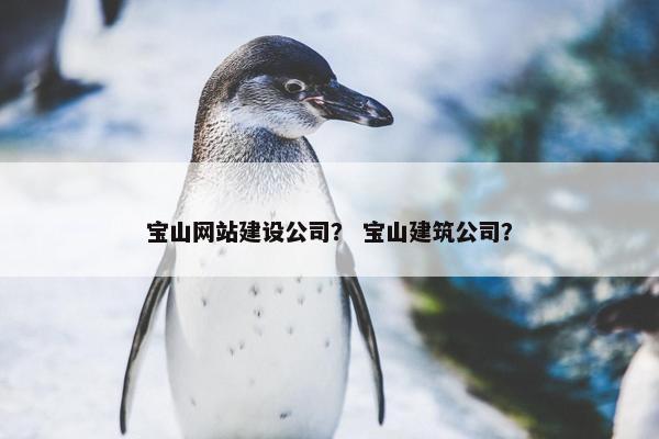 宝山网站建设公司？ 宝山建筑公司？