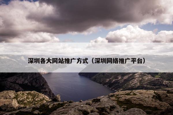 深圳各大网站推广方式（深圳网络推广平台）
