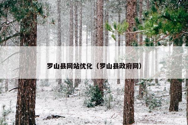 罗山县网站优化（罗山县政府网）
