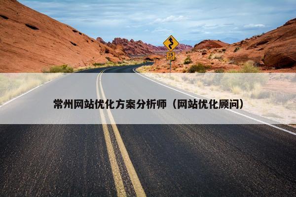 常州网站优化方案分析师（网站优化顾问）