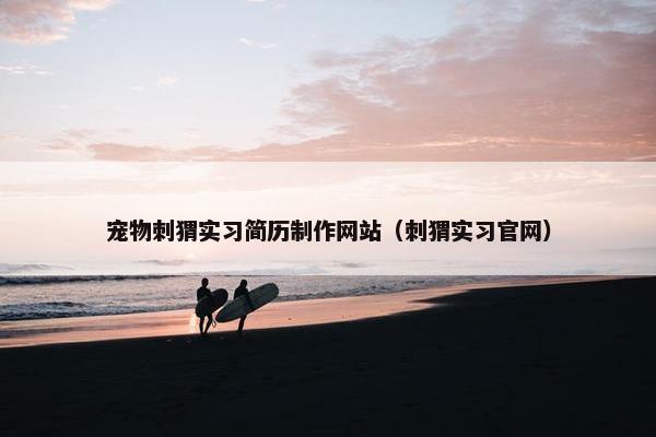 宠物刺猬实习简历制作网站（刺猬实习官网）
