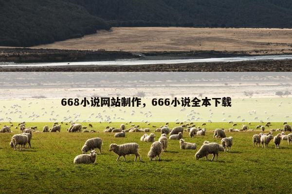 668小说网站制作，666小说全本下载
