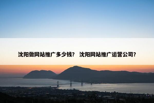 沈阳做网站推广多少钱？ 沈阳网站推广运营公司？