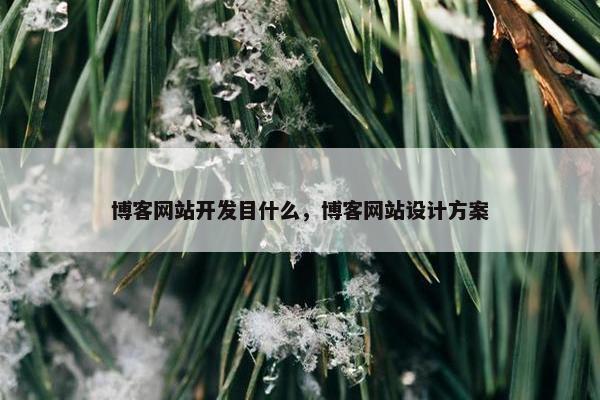 博客网站开发目什么，博客网站设计方案