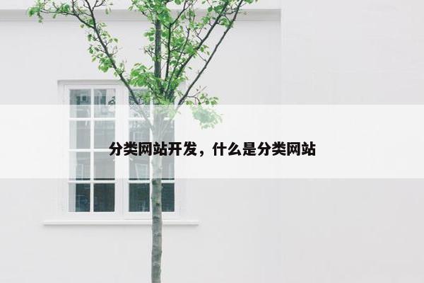 分类网站开发，什么是分类网站