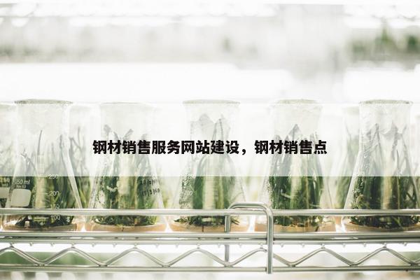 钢材销售服务网站建设，钢材销售点