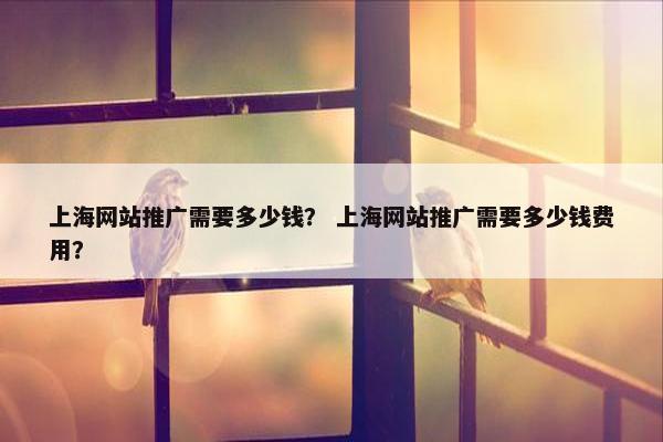 上海网站推广需要多少钱？ 上海网站推广需要多少钱费用？