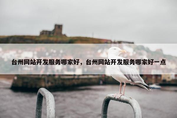 台州网站开发服务哪家好，台州网站开发服务哪家好一点
