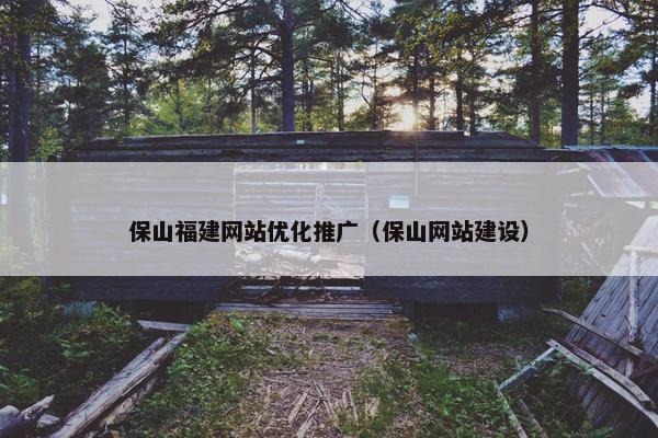 保山福建网站优化推广（保山网站建设）