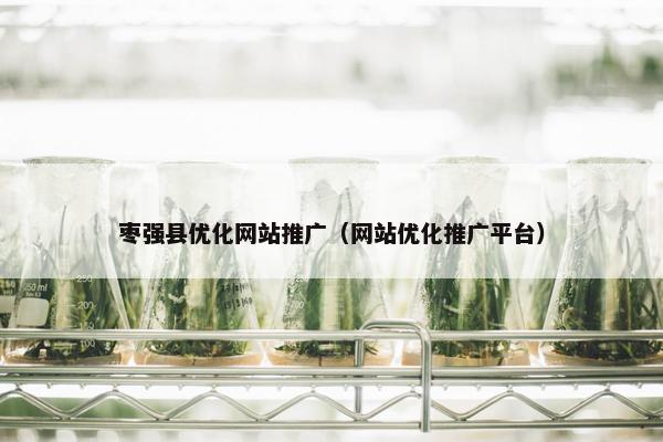 枣强县优化网站推广（网站优化推广平台）