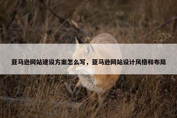亚马逊网站建设方案怎么写，亚马逊网站设计风格和布局
