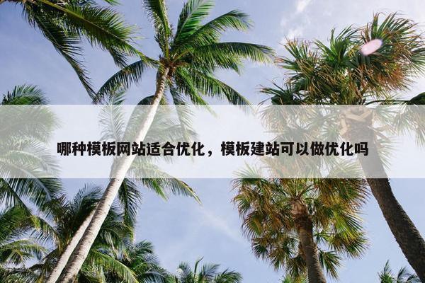 哪种模板网站适合优化，模板建站可以做优化吗
